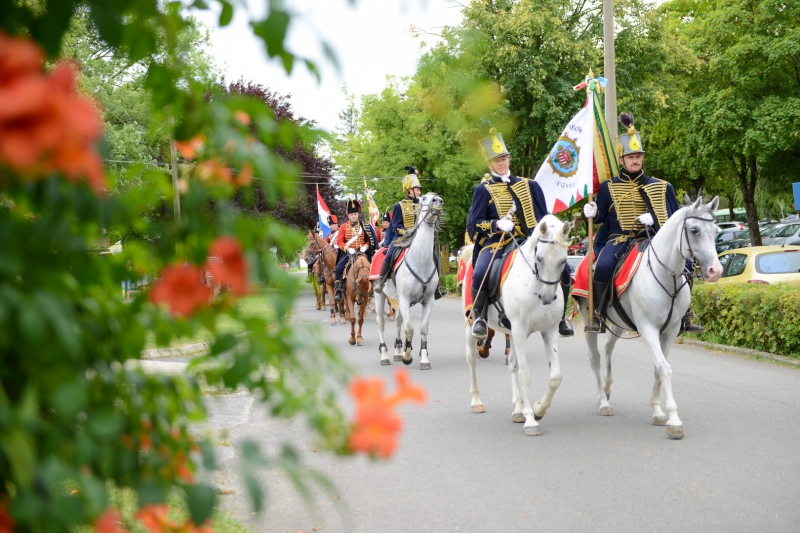 V. Nemzetközi Lovastalálkozó Időpont: 2019-08-10 Helyszín: Fesztivál park